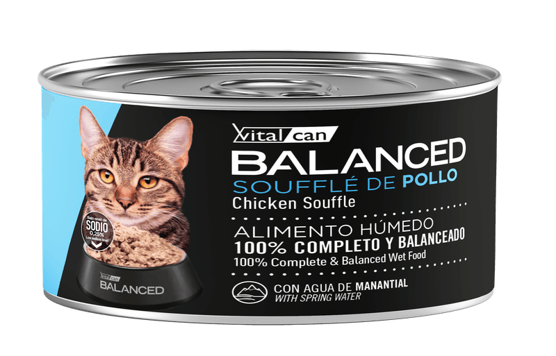 85-Gato-Adulto-Pollo.png