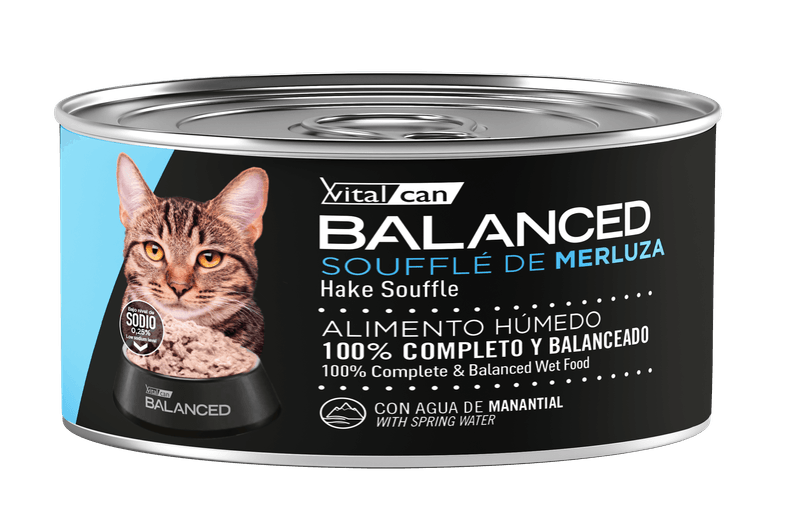 85-Gato-Adulto-Merulza.png