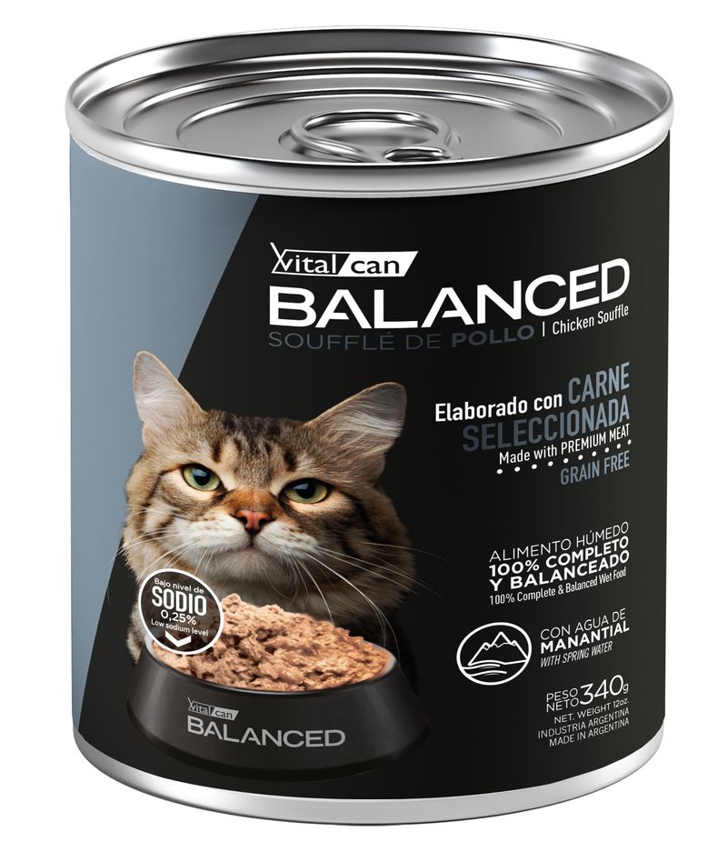 340-Gato-Senior-Pollo.jpg