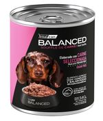 340-Perro-Cachorro-Carne.jpg