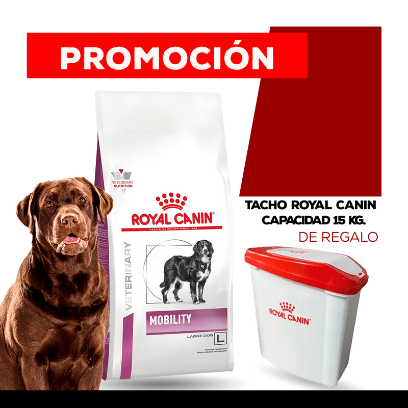MOBILITY-ROYAL---TACHO-ROYAL36296292.png