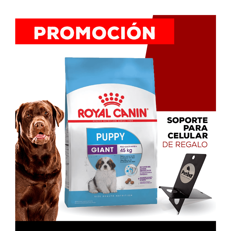 10_WEB_ALIMENTOS_PERRO_1200x1200_Soporte-Celular-03.png