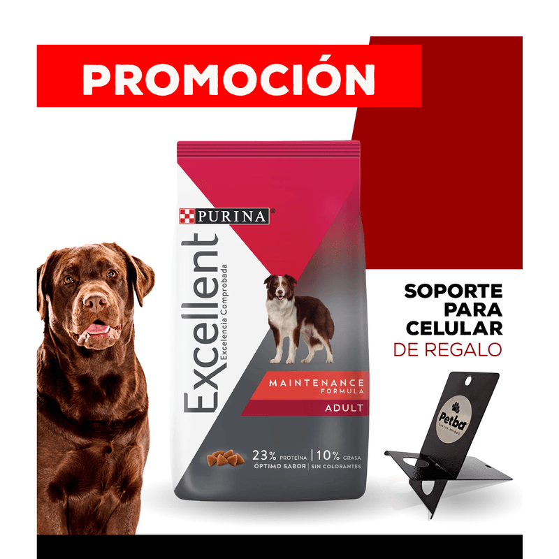 10_WEB_ALIMENTOS_PERRO_1200x1200_Soporte-Celular-04.png