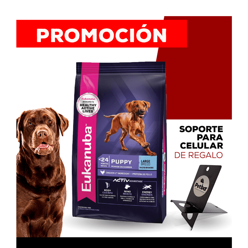 10_WEB_ALIMENTOS_PERRO_1200x1200_Soporte-Celular-07.png
