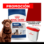 MOBILITY-ROYAL---TACHO-ROYAL.png