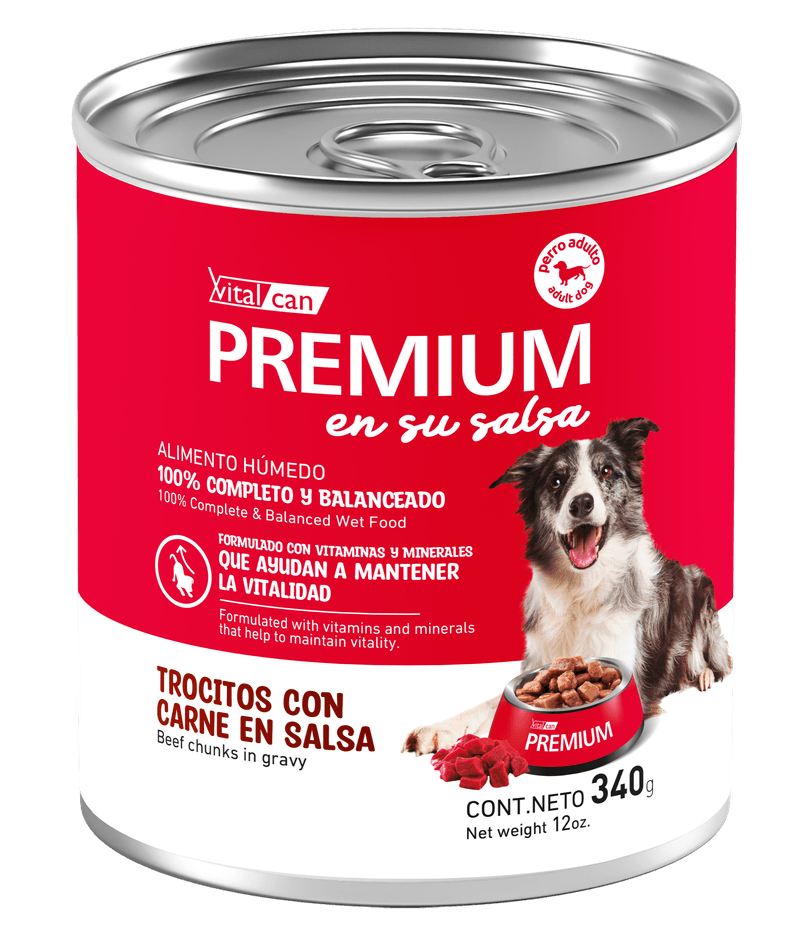 340-Perro-Adulto-Carne--1-.png