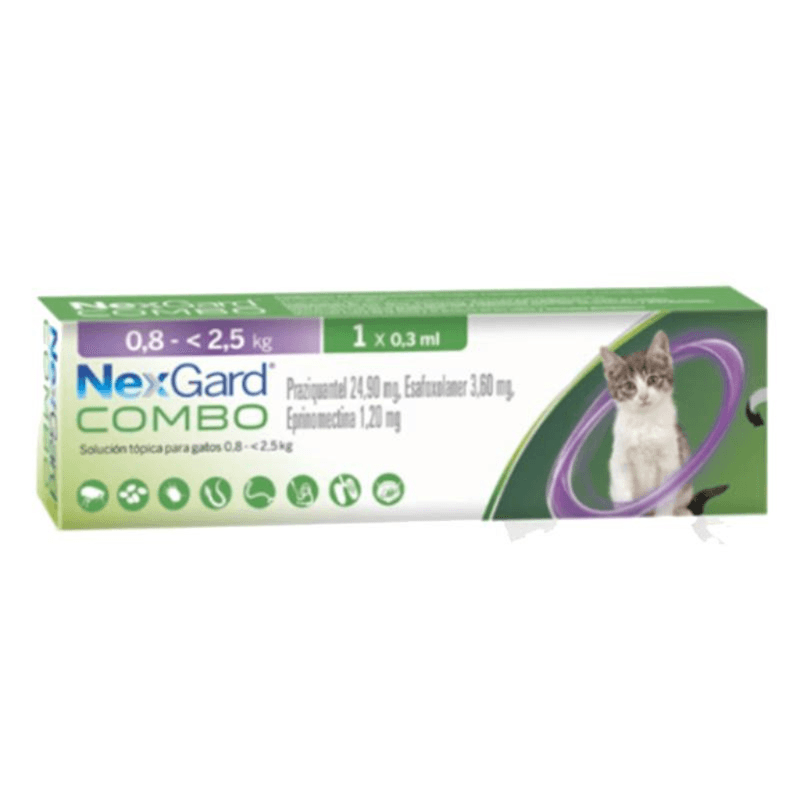 pack-ahorro-43-76d2247b9b246a425717346263058801-1024-1024.png