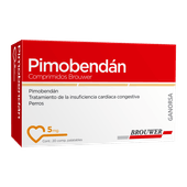 Medicamento Pragma 5mg caja x 20 comprimidos -FARMACIA-