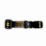 5--1-.png