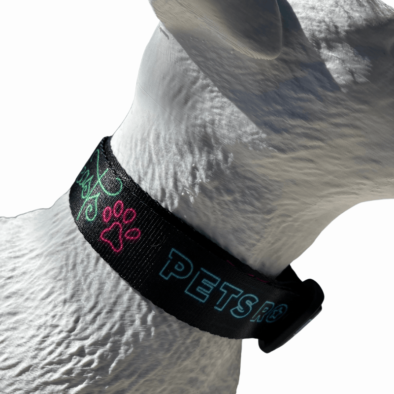 100.png