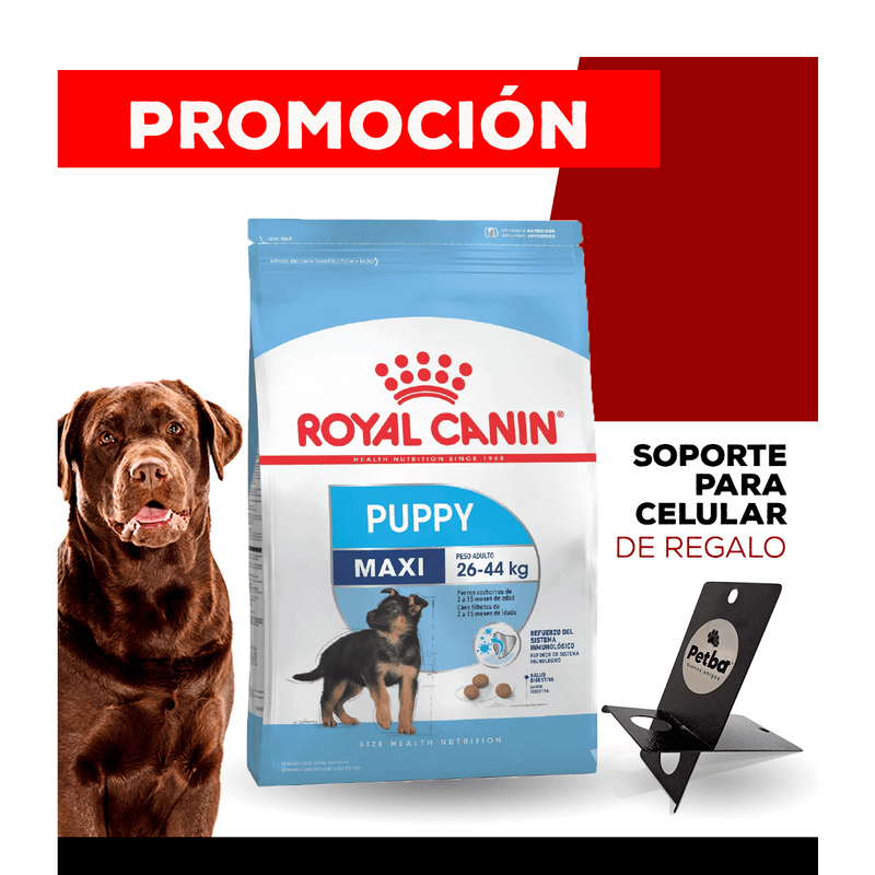 10_WEB_ALIMENTOS_PERRO_1200x1200_Soporte-Celular-02.png