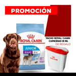 GIANT JUNIOR + TACHO ROYAL.png