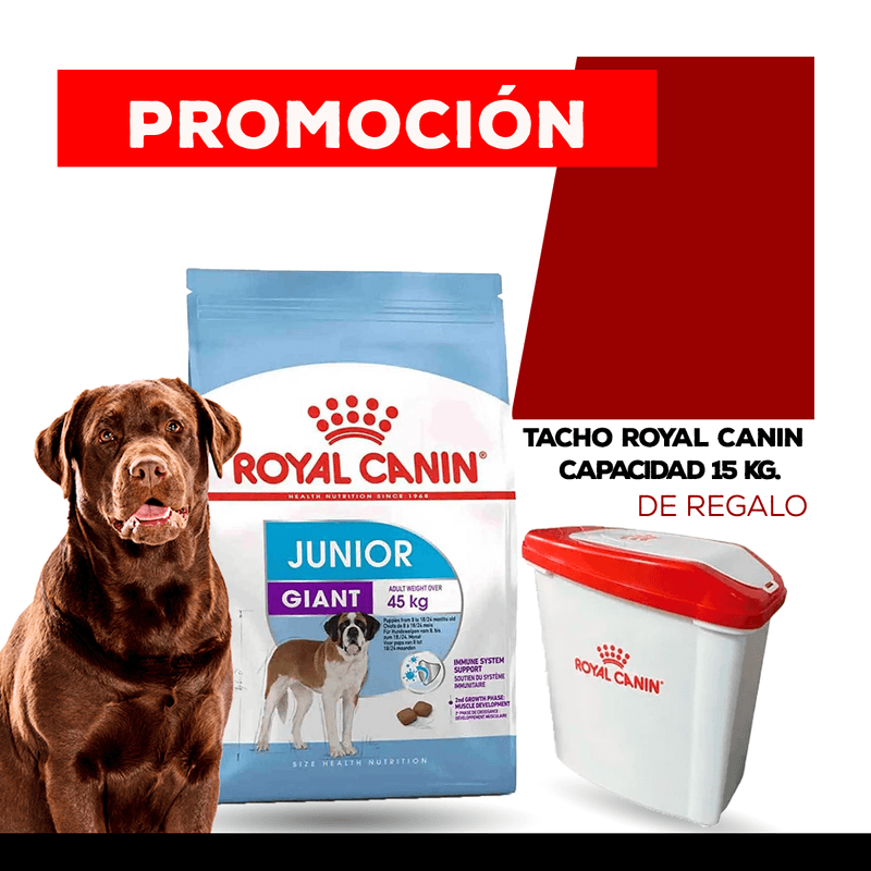 GIANT JUNIOR + TACHO ROYAL.png
