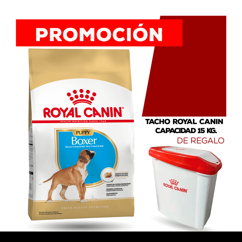 tacho + boxer.png