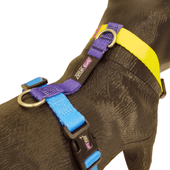 Arnés Vital Fun Pets Rock Pop Art Perro Talle XXS-XS