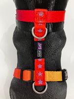 ARNES-H-GEO-FLUO_4-_1_.jpg