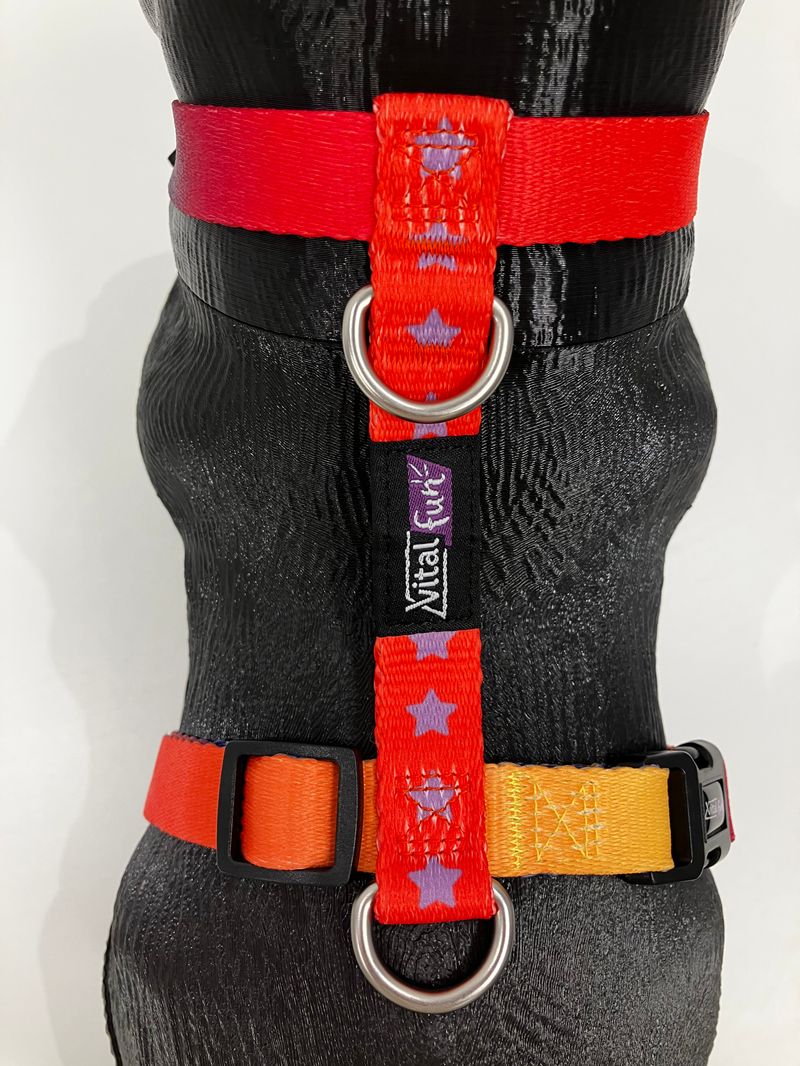 ARNES-H-GEO-FLUO_4-_1_.jpg