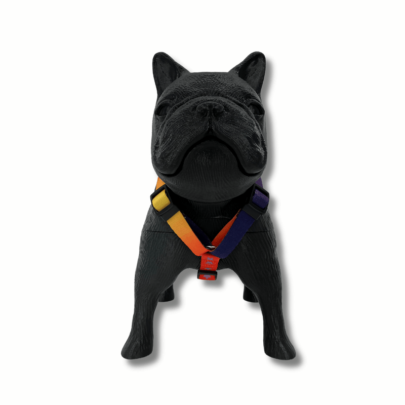 ARNES-H---GEO-FLUO_2--1-.png