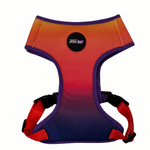 ARNES MESH - GEO FLUO_1.png