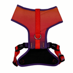 ARNES-MESH---GEO-FLUO_2.png