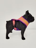 ARNES-MESH-GEO-FLUO_5.jpg