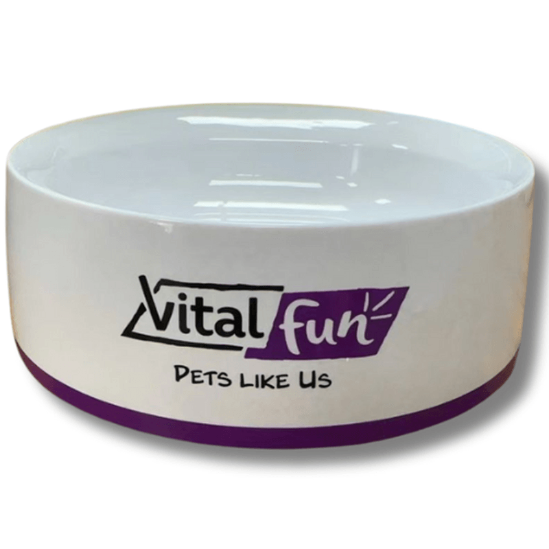 vital-fun-plato-digital-blanco