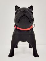 COLLAR-PERROS---GEO-FLUO_3