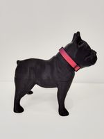 COLLAR-PERROS---GEO-FLUO_5