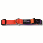COLLAR-PERROS---GEO-FLUO_1