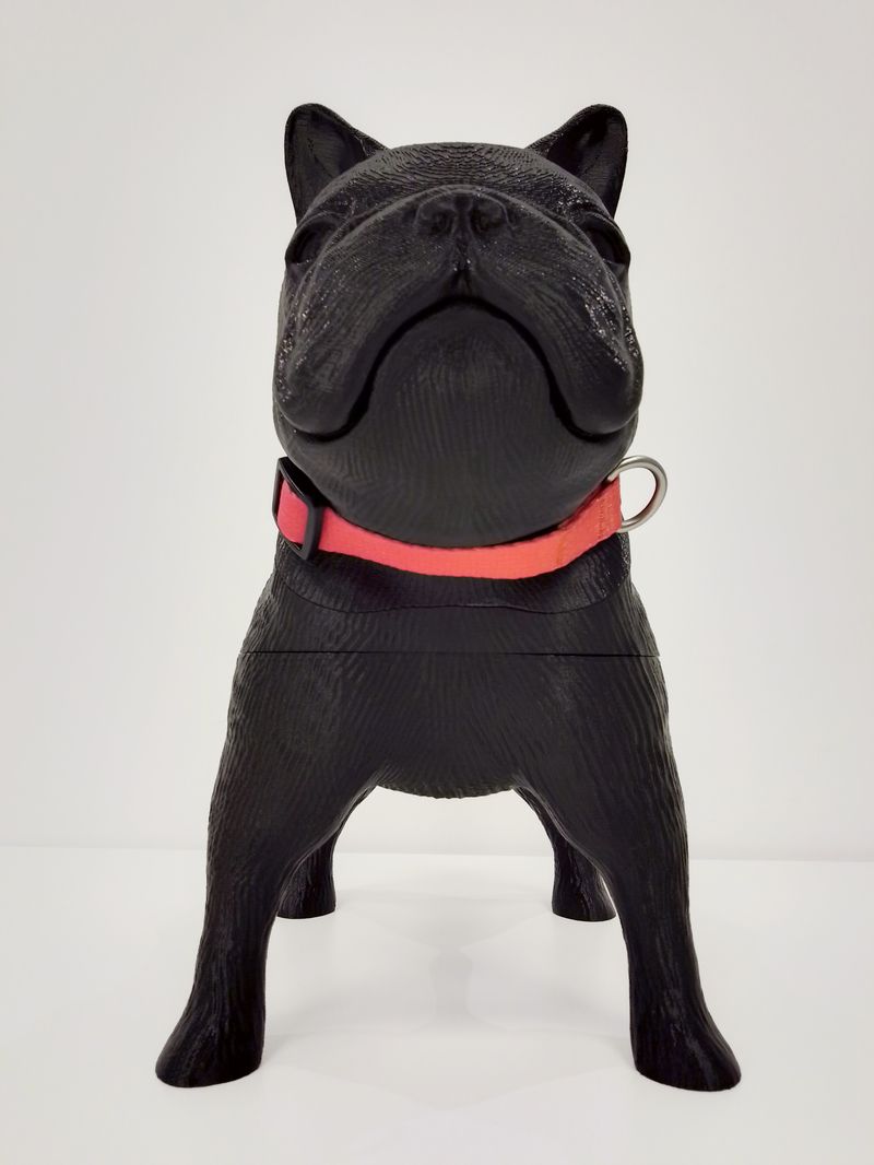 COLLAR-PERROS---GEO-FLUO_3
