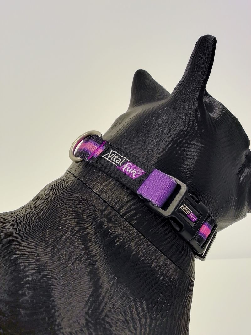 COLLAR-PERROS---MINIMAL-BLACK_4