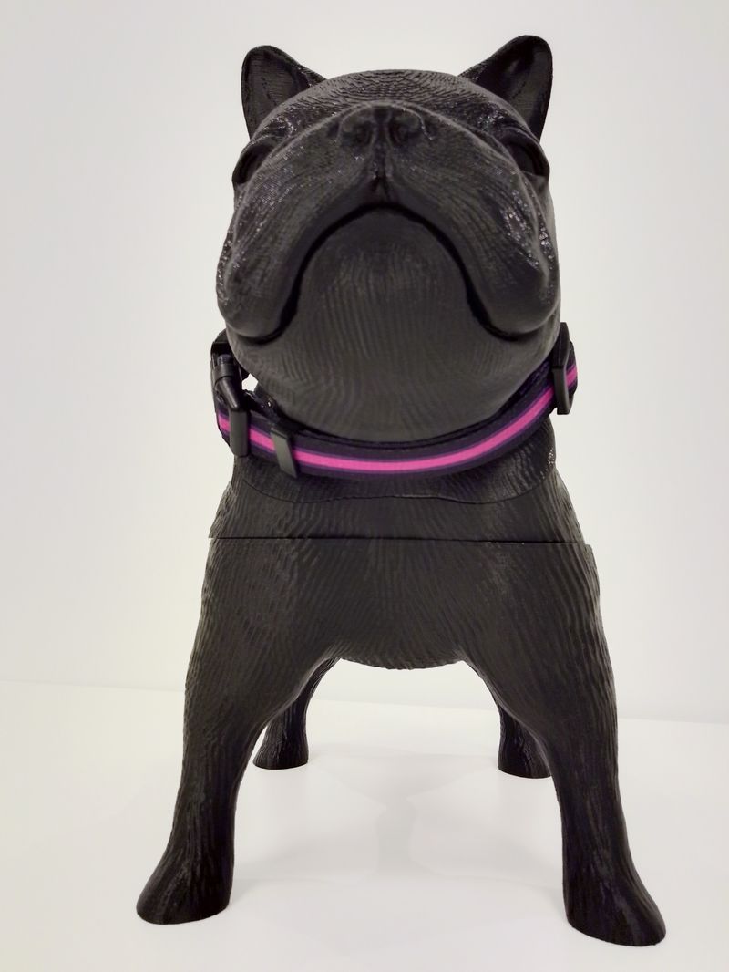 COLLAR-PERROS---MINIMAL-BLACK_3