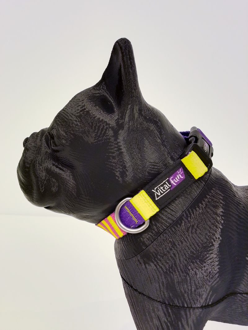 COLLAR PERROS - POP ART_4