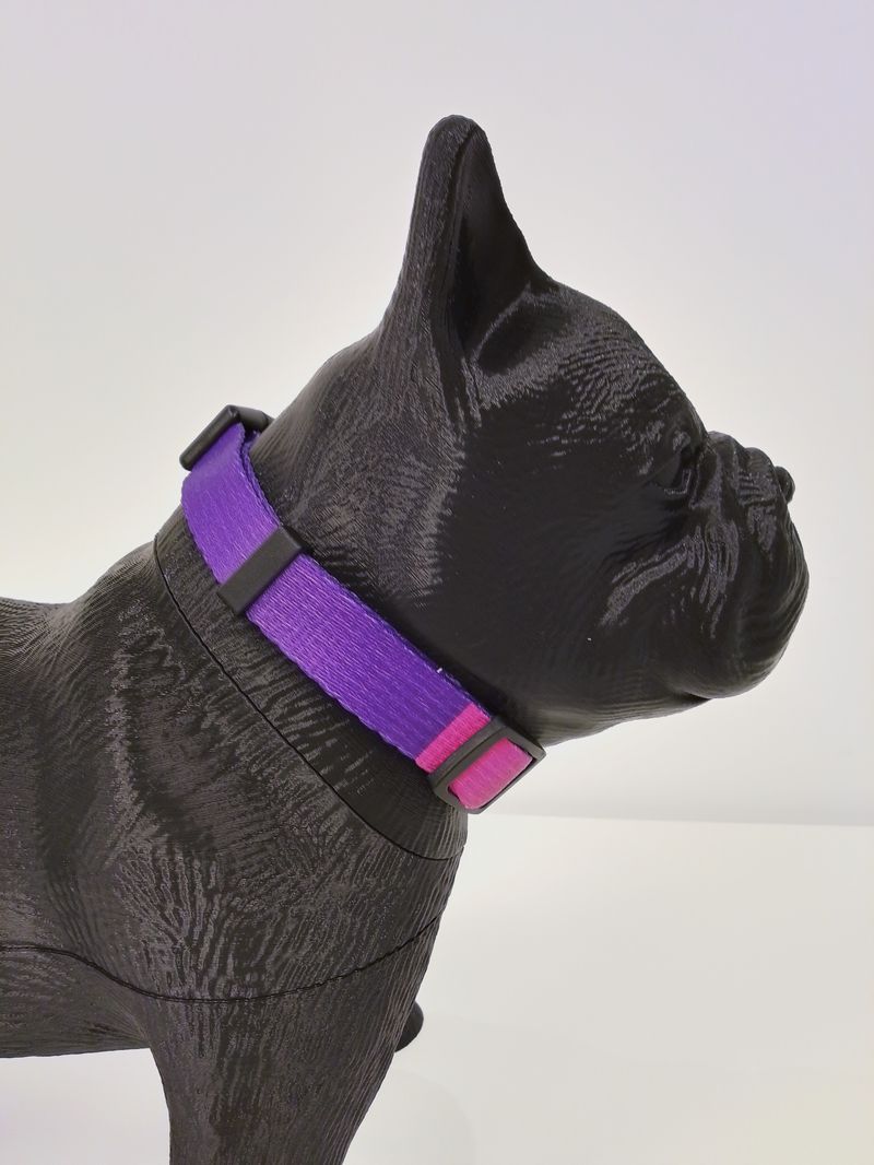 COLLAR PERROS - POP ART_6