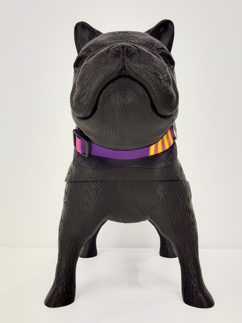 COLLAR PERROS - POP ART_3