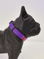 COLLAR-PERROS---POP-ART_6