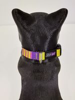 COLLAR-PERROS---POP-ART_5