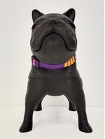 COLLAR-PERROS---POP-ART_3