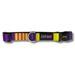 COLLAR-PERROS---POP-ART_1