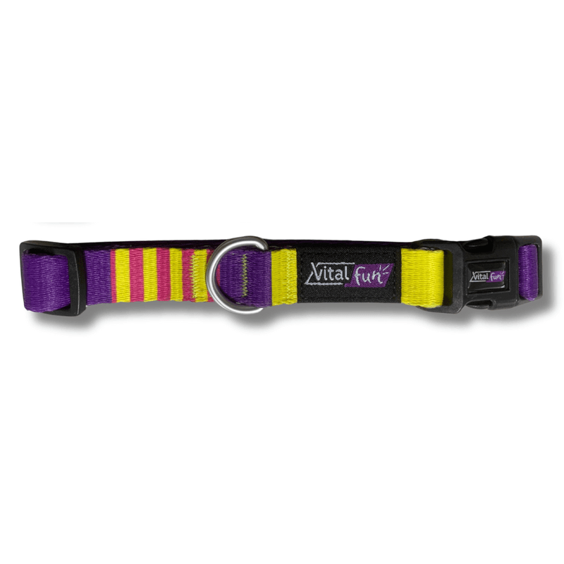 COLLAR-PERROS---POP-ART_1