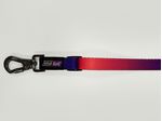 CORREA-REGULAR---GEO-FLUO_2