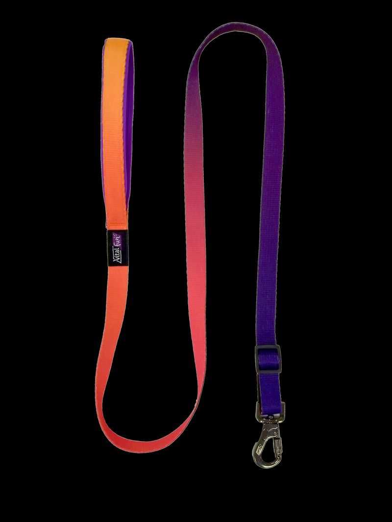 CORREA-REGULAR---GEO-FLUO_1