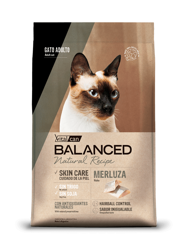 merluza_gato