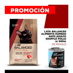 06-25-PROMOS_WEB_BALANCED_GATO_1200x1200_ADULTO-Pollo-340gr-08-carne-15