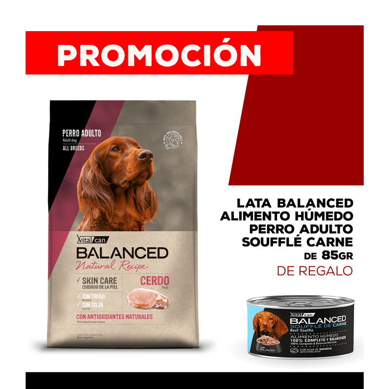 06-25-PROMOS_WEB_BALANCED_PERRO_1200x1200_ADULTO-Carne-85gr-08-cerdo-3