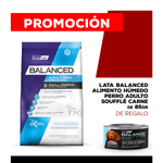 06-25-PROMOS_WEB_BALANCED_PERRO_1200x1200_ADULTO-Carne-85gr-01-adulto-small-3