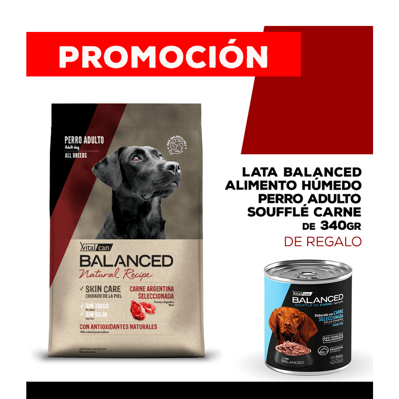 06-25-PROMOS_WEB_BALANCED_PERRO_1200x1200_ADULTO-Carne-340gr-15-carne-15
