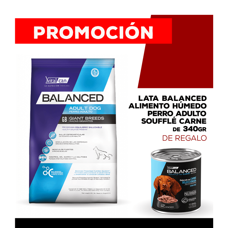 06-25-PROMOS_WEB_BALANCED_PERRO_1200x1200_ADULTO-Carne-340gr-08-adult-gigant-20