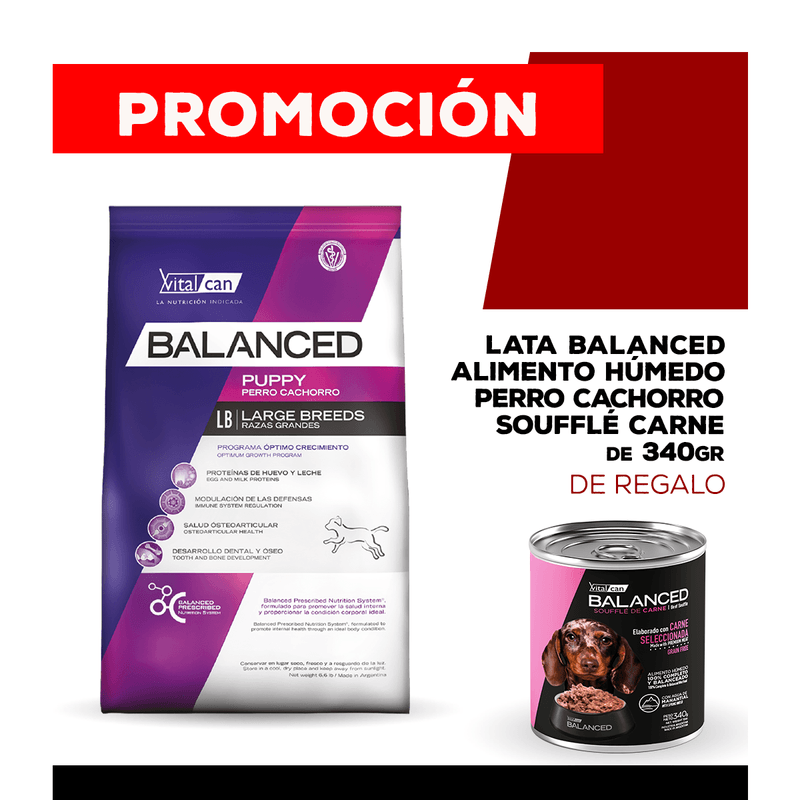06-25-PROMOS_WEB_BALANCED_PERRO_1200x1200_CACHORRO-Carne-340gr-03-puppy-large-15