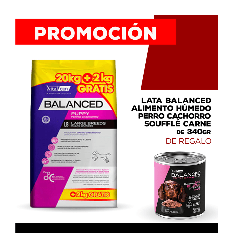 06-25-PROMOS_WEB_BALANCED_PERRO_1200x1200_CACHORRO-Carne-340gr-05-bonus-large-20-2